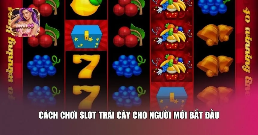 Cách chơi slot trái cây cho người mới bắt đầu
